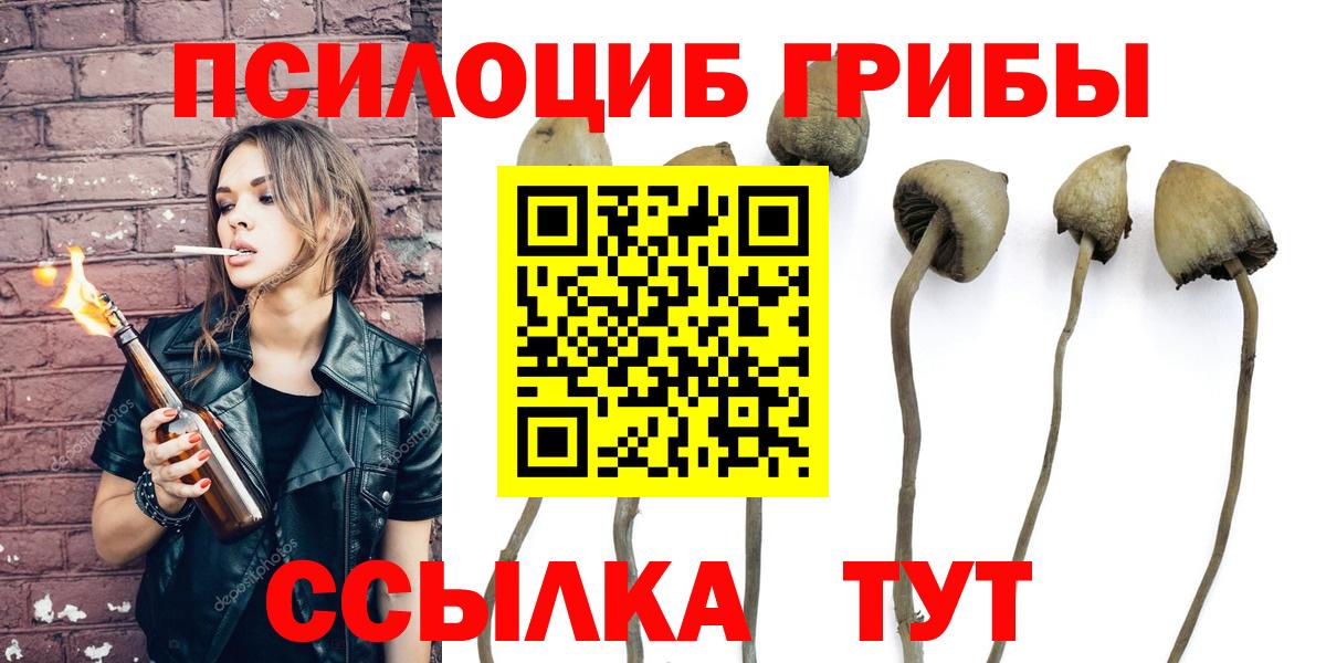 Галлюциногенные грибы Psilocybe Камень-на-Оби