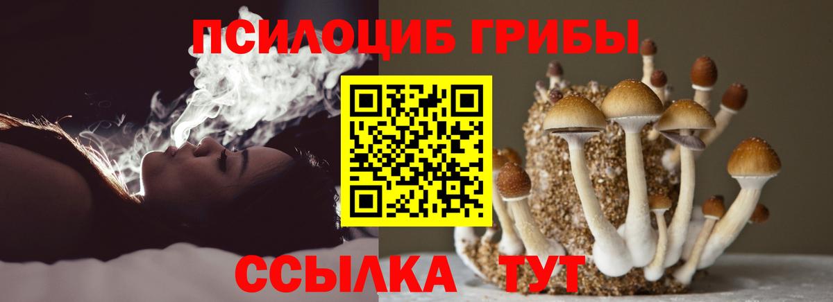 Камень-на-Оби  Галлюциногенные грибы ЛСД  Вход с VPN 